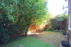 Photo 11- click for photo gallery